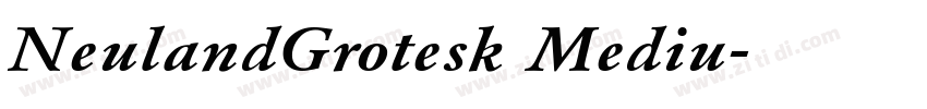 NeulandGrotesk Mediu字体转换